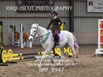 CLASS 1 Beginners Show Jumping portfolio