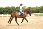 SBM_000703