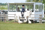 SBM_17138