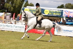 SBM_14681