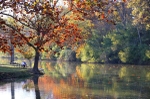 Fall Colors at Side Cut Park