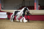 SBM_05473
