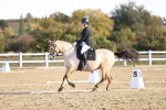 SBM_009099