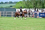 SBM_07940