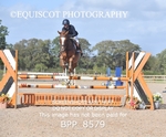BPP_8579