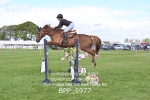 BPP_5977