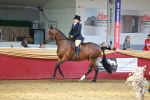 SBM_20193