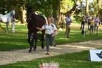 178-RIDIRE_DORCHA-Lucy_Stimson-WEDTrotUp+DR portfolio