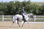 SBM_001197