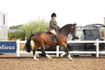 SBM_00251