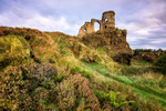 Heather on Mow Cop, Cheshire (3)