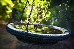 Swinging Water Bowl