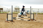 SBM_000798