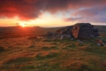 Top Tor