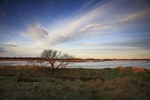 <center>Snape Marshes</center><br>