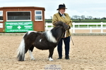 Cls 33 InHand Youngster portfolio