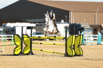Class 6 - National B&C Handicap Championship Qualifier 1.25m 1.30m portfolio