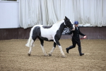 SBM_5333