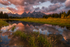 Teton Gold