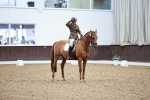 SBM_001536
