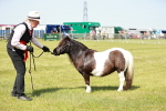 SBM_02014