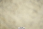 230909-121458-05603