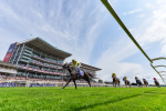 260725-Race 3-Royal Champion-2-2