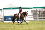 SBM_15746
