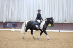 SBM_000331