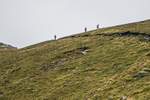 Bannerdale-125