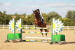 SBM_007892