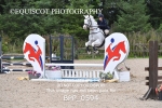 BPP_0594