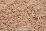 231028A-140736-01825