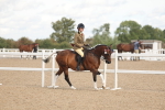 SBM_14647