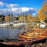 Autumn portfolio