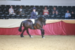 SBM_23981