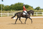 SBM_007001
