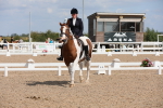 SBM_04147