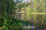 Nuuksio National Park, Uusimaa, Finland