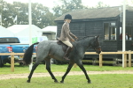 SBM_62586