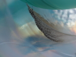 PC040010