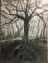 Wild Wood Drawing 5 56cm x 76cm Graphite on Paper
