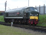 T1004