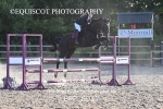 BPP_6917