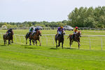 300526-Race 1-Forest Phoenix-0204