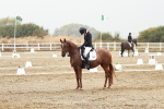 SBM_003974