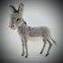 Little Grey Donkey. Photo 1