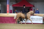 SBM_09263