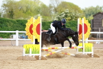SBM_008030
