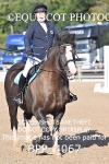 BPP_4067